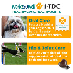 1-TDC WorksSoWell packaging image highlighting dual-action mobility benefits.