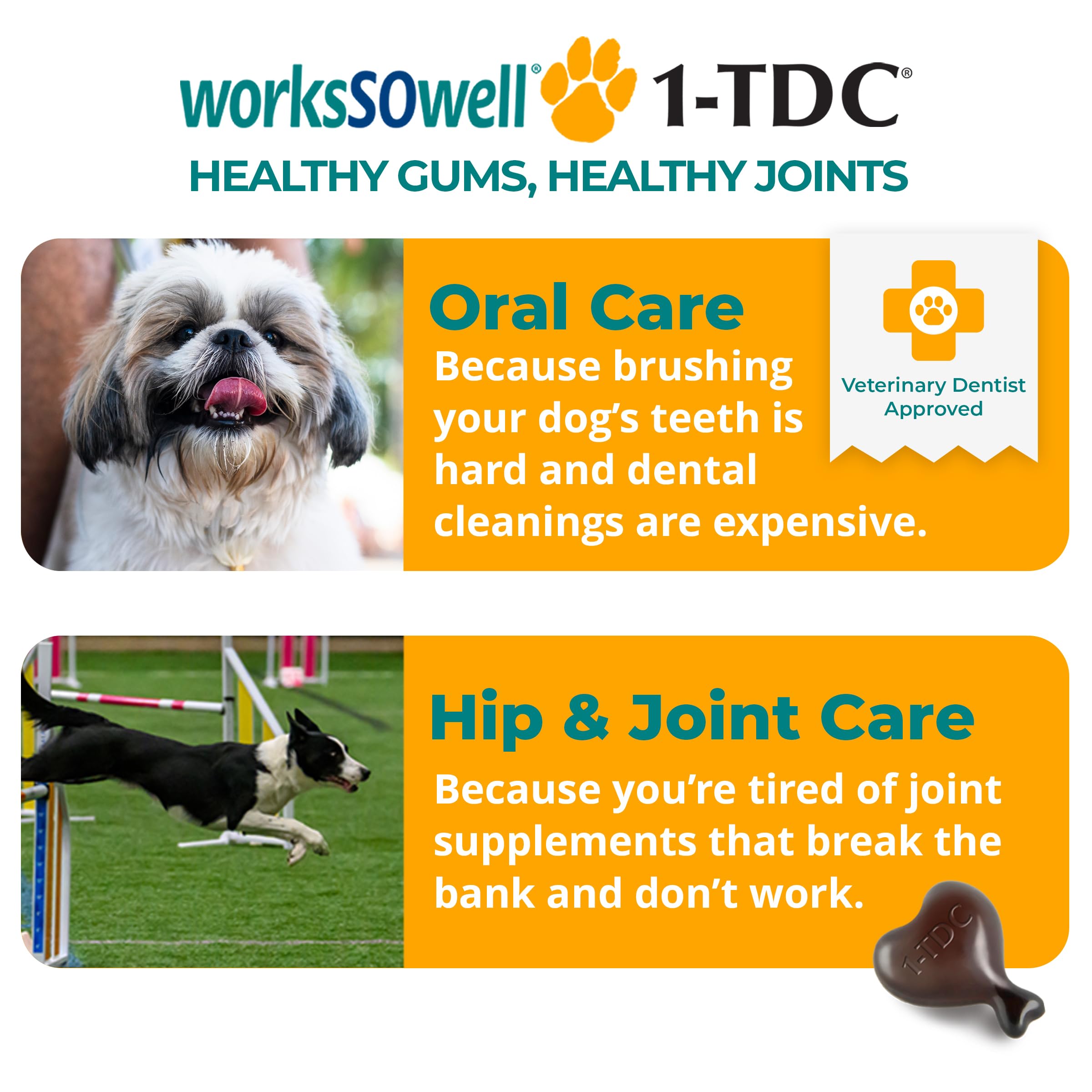 1-TDC WorksSoWell chewables shown for paw mobility and activity