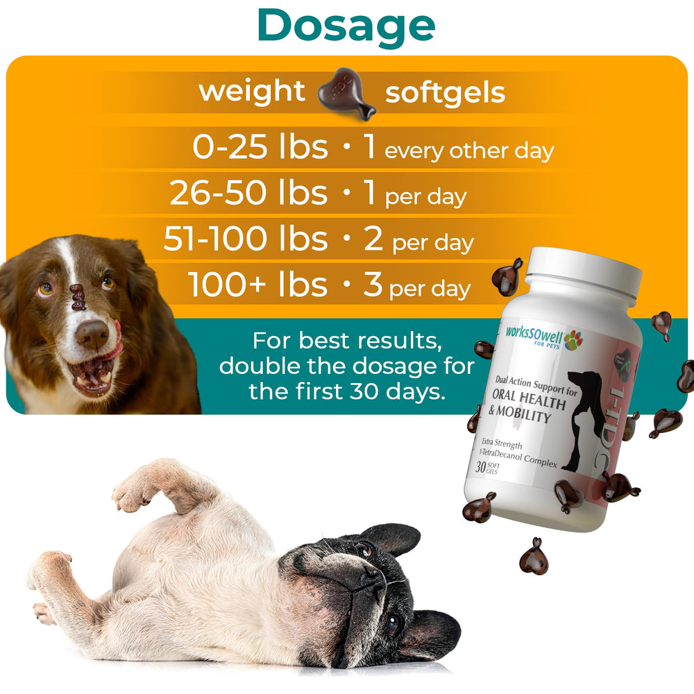 1-TDC WorksSoWell large-breed mobility focus in active dog scene