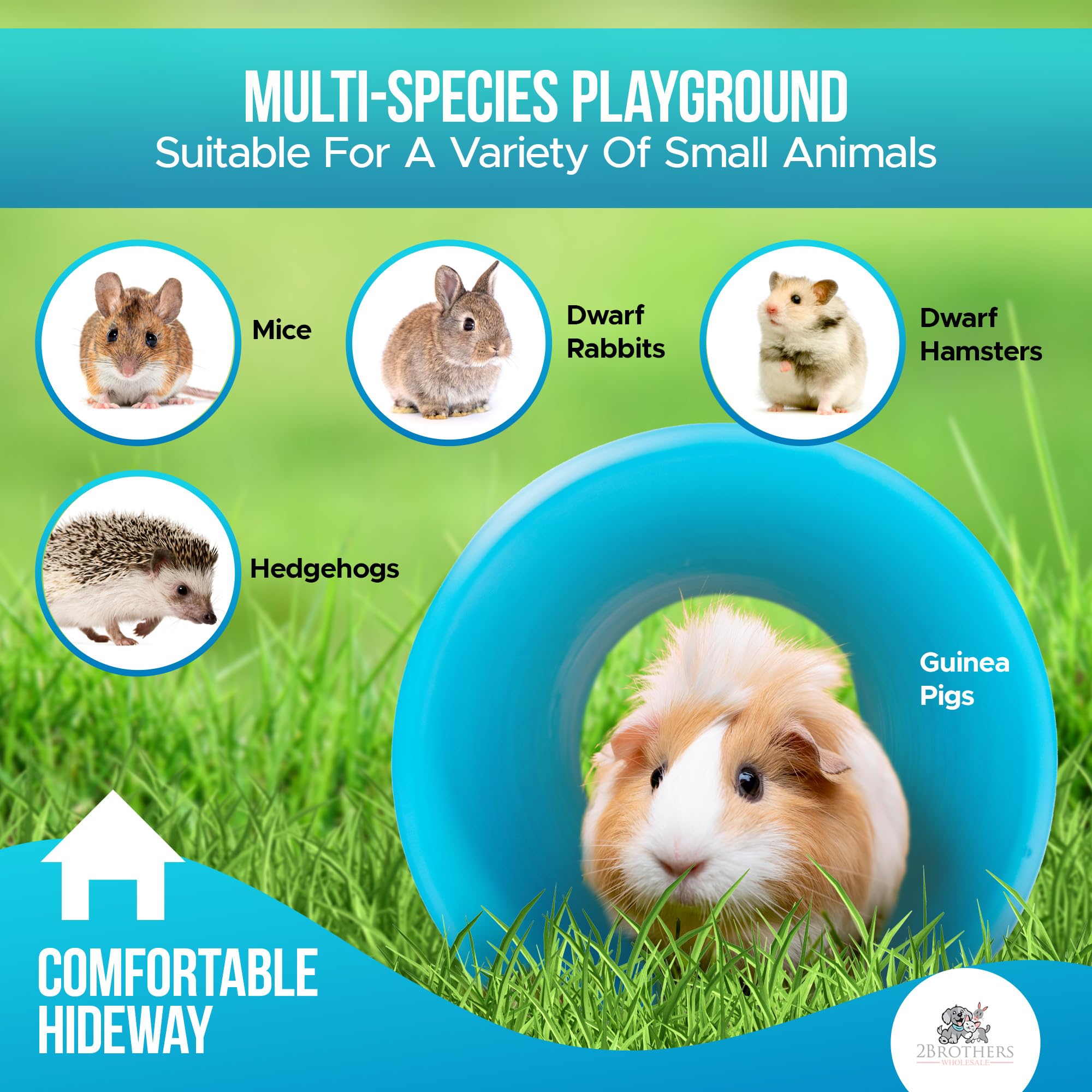2 Brothers Wholesale small animal enrichment blue multi-species play image demonstrates variety.
