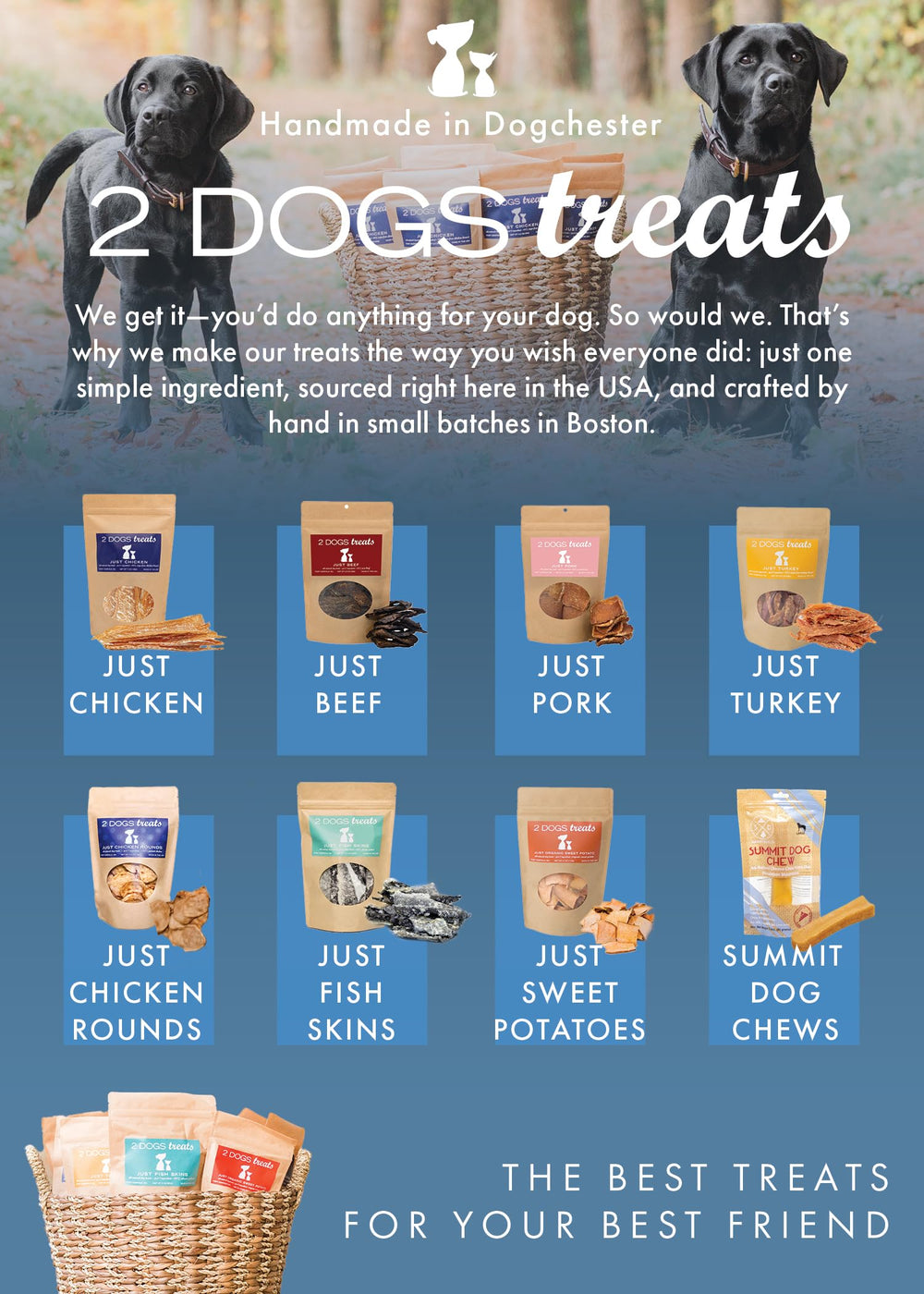 2 Dogs Treats daily-snack reward shown in practical dog-friendly setting