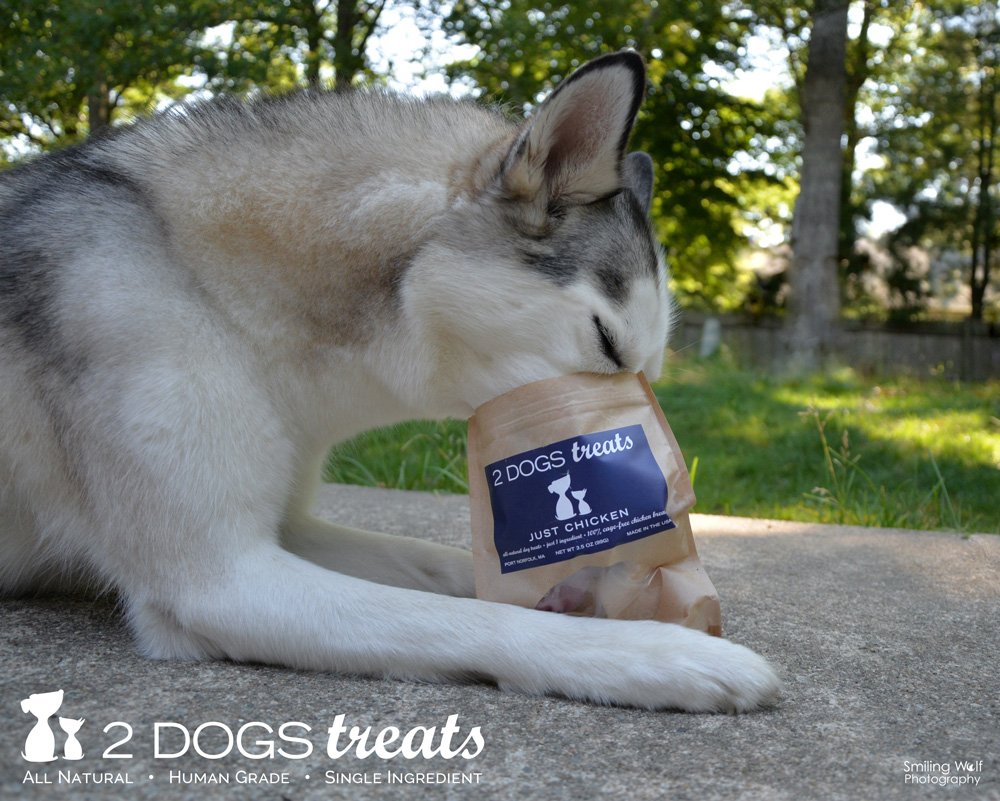 2 Dogs Treats human-grade chicken jerky emphasizes premium safety and quality