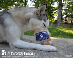 2 Dogs Treats human-grade chicken jerky emphasizes premium safety and quality