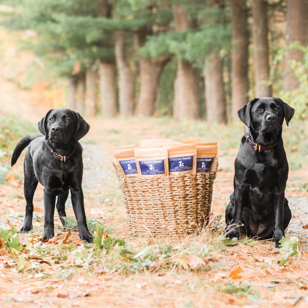 2 Dogs Treats small-batch kitchen environment signaling freshness