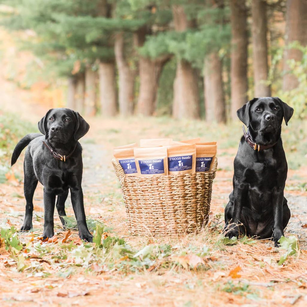 2 Dogs Treats small-batch kitchen environment signaling freshness