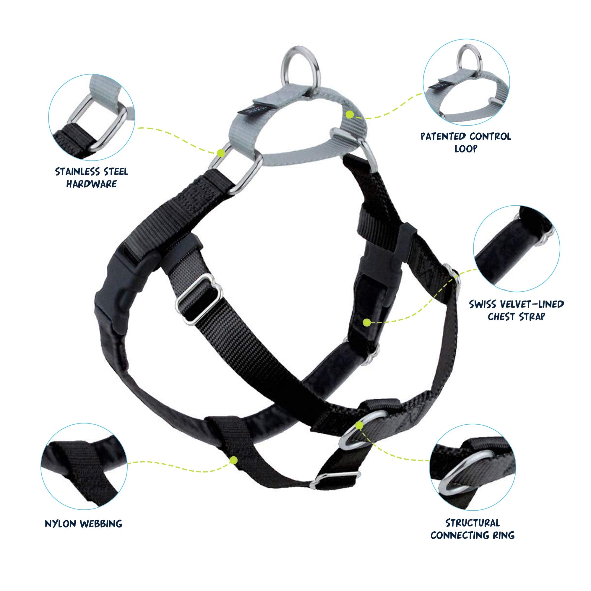 2 Hounds Design Freedom No Pull Harness front attachment for guided walks and training.