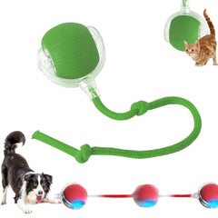 2025 new interactive rolling ball toy for dogs and cats boosts active play