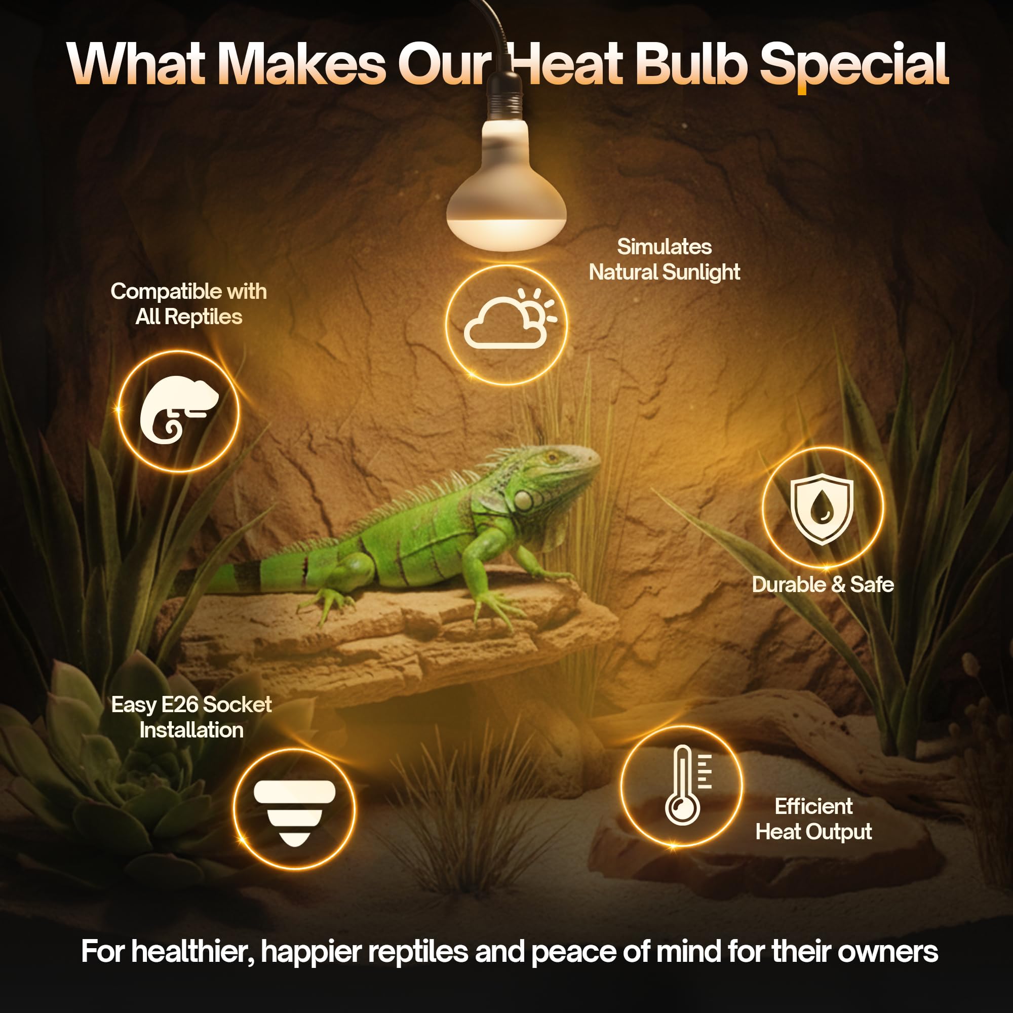 Gecko/lizard heat lamp setup from 24 Nha&FACA maintaining a stable temperature