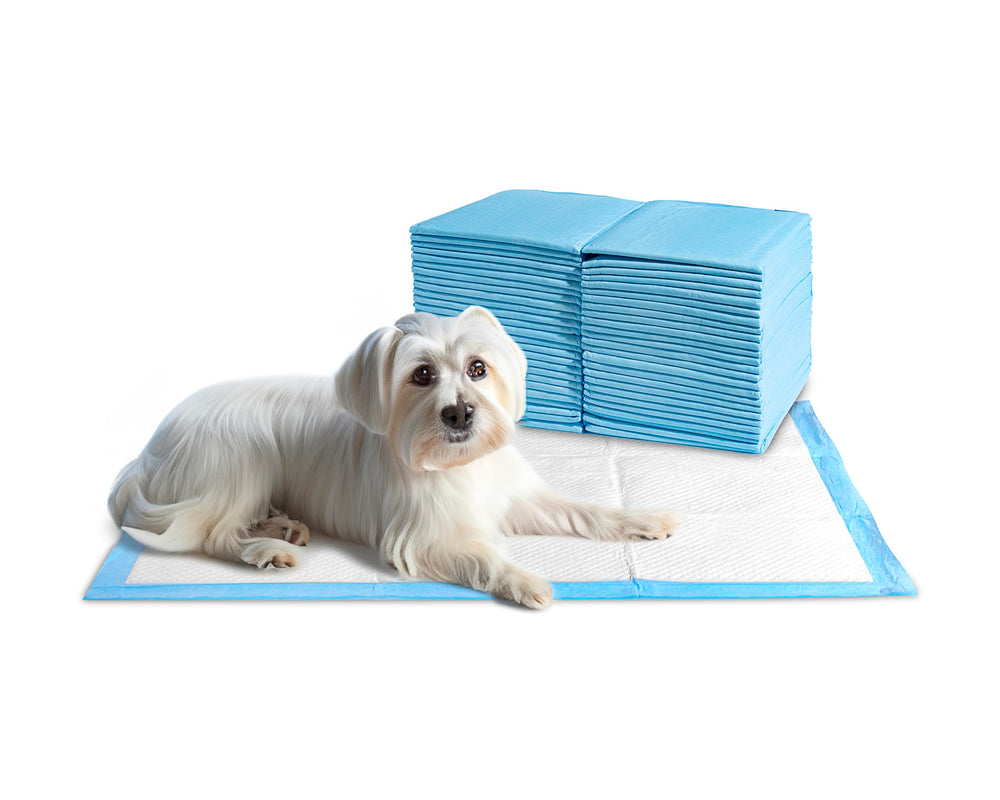 24/7 BAGS X-Large Puppy Pads quilted-top-layer provides gentle paw comfort during use.