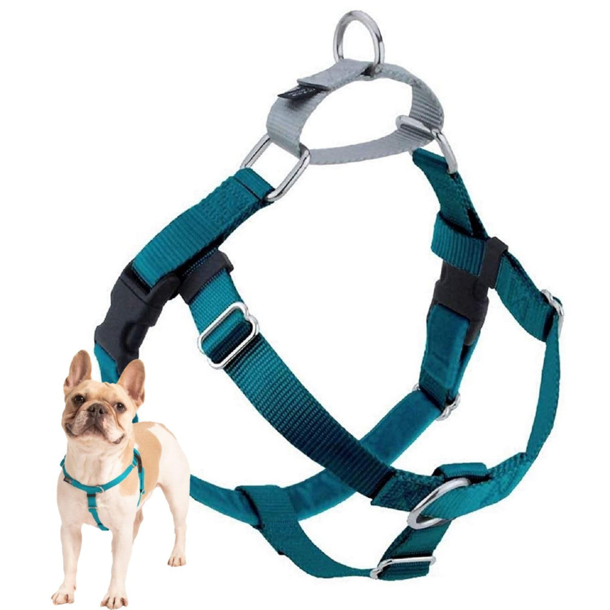 2 Hounds Design Freedom No Pull Harness front view in teal improves control during walks