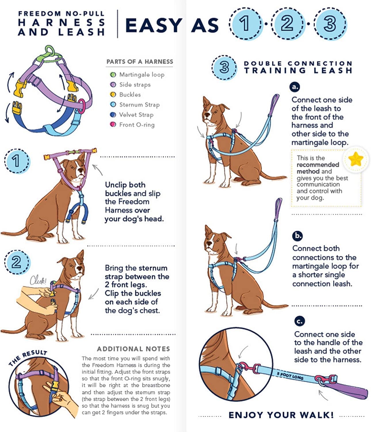 2 Hounds Design Freedom No Pull harness on dog during everyday walk