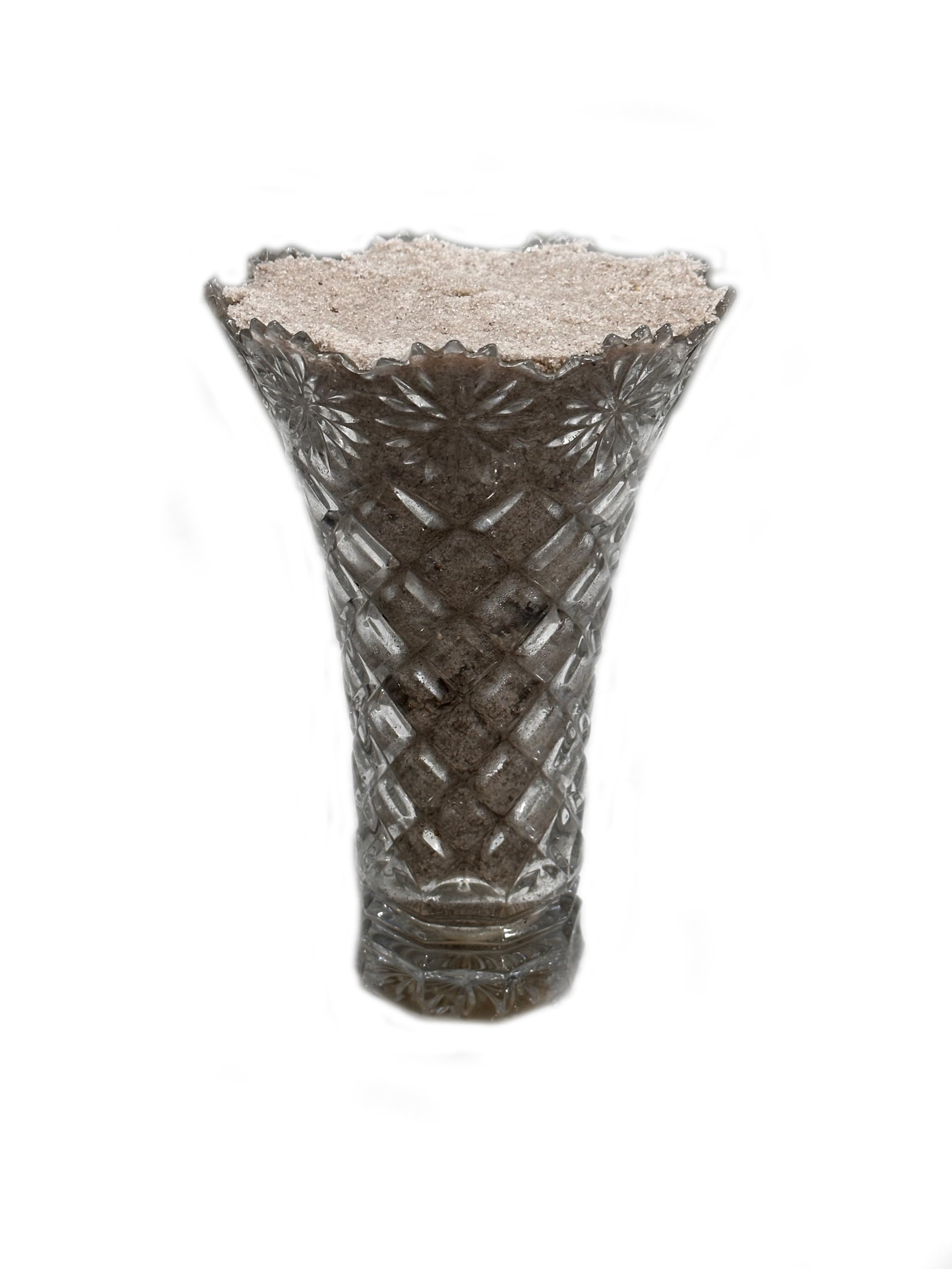 2 Pounds Natural Sand in a reptile terrarium supports burrowing behavior.