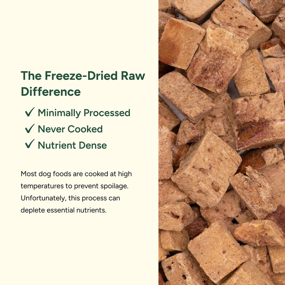 360 Pet Nutrition bison liver treat close-up — single-ingredient, grain-free dog snack.