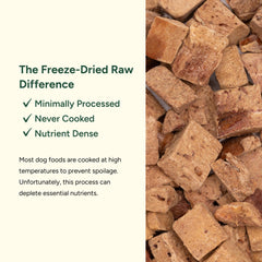 360 Pet Nutrition bison liver treat close-up — single-ingredient, grain-free dog snack.