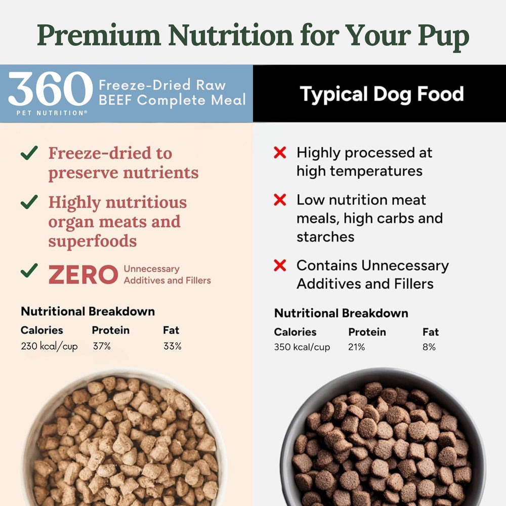 360 Pet Nutrition bite-sized pieces in a dog bowl – quick, easy feeding.