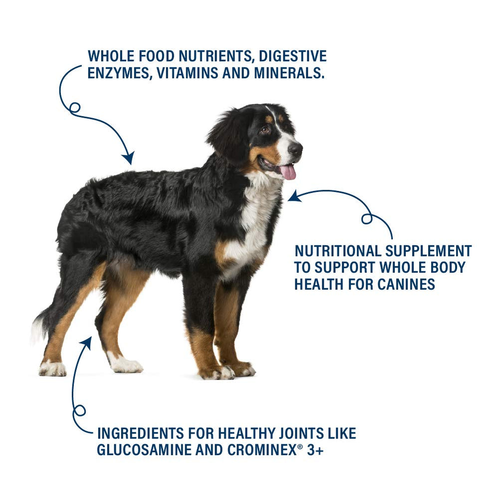 360 Pet Nutrition Canine Superfood Boost beef flavor closeup supports palatable meals