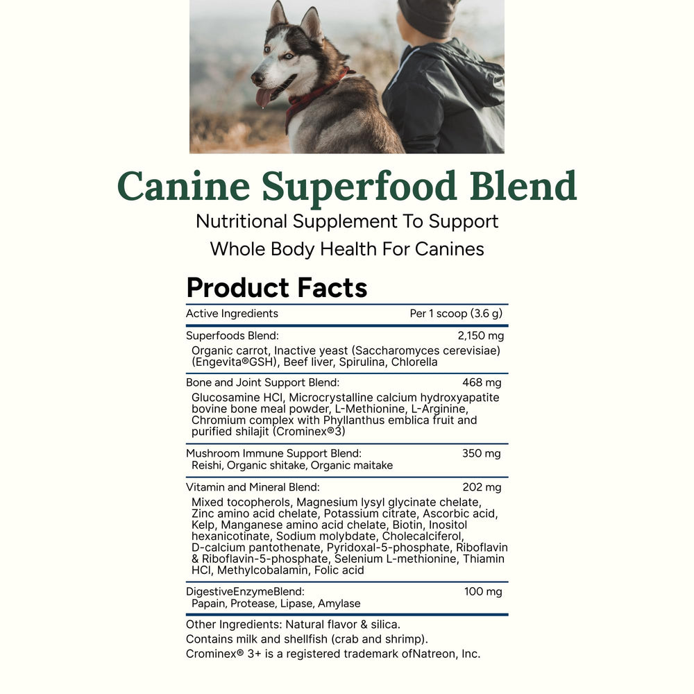 360 Pet Nutrition Canine Superfood Boost joint support highlight for mobility