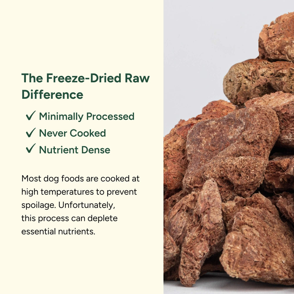 Close-up of 360 Pet Nutrition chicken liver bites highlighting quality protein for dogs.