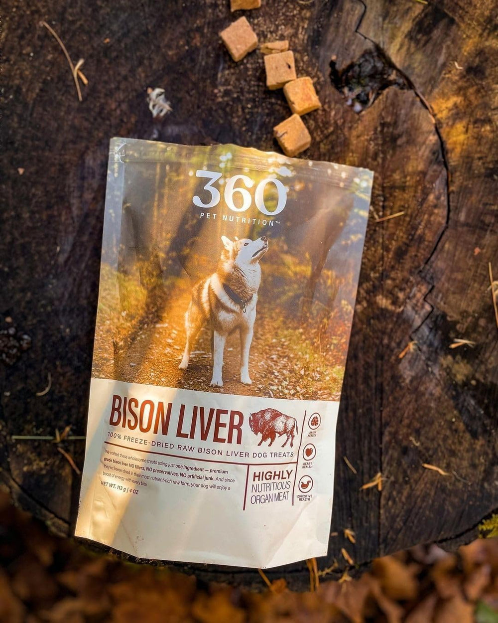 360 Pet Nutrition dog eating treat — easy-on-the-go reward for daily training.