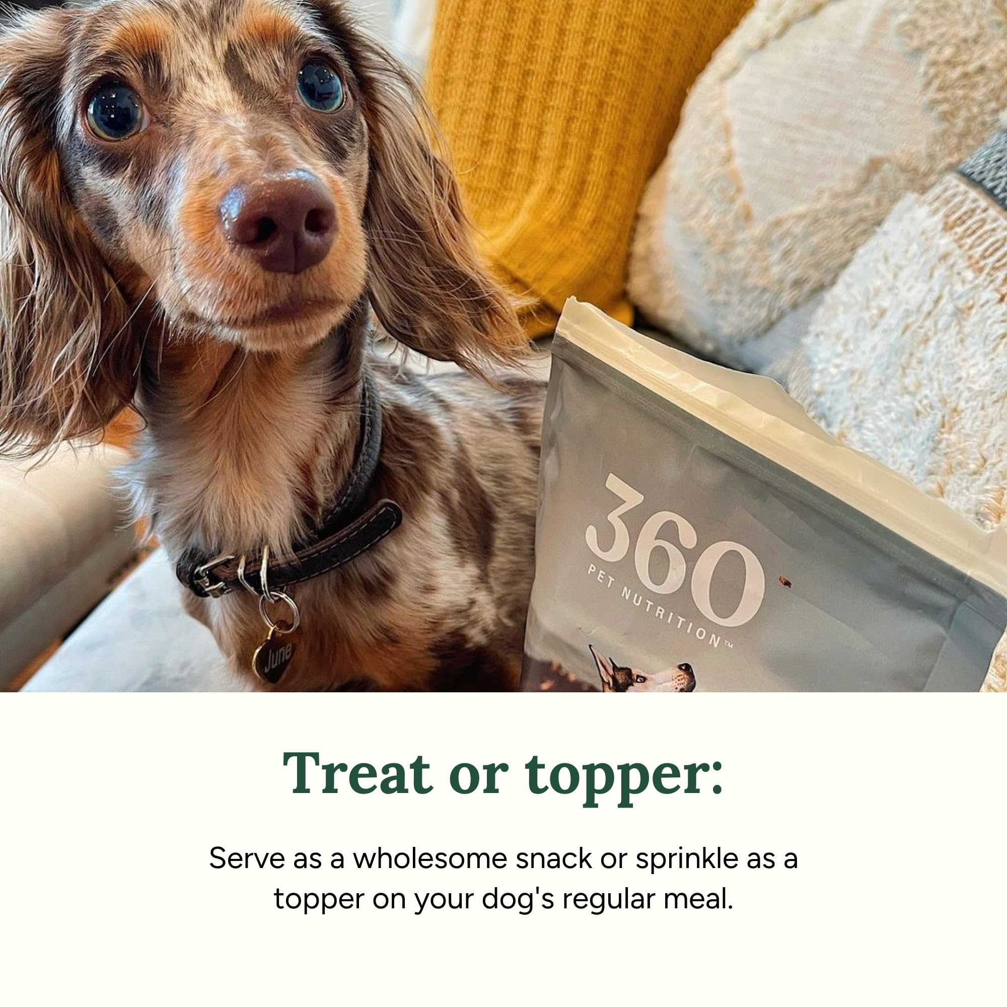 360 Pet Nutrition freeze-dried beef liver bite close-up, crunchy texture for rewards.
