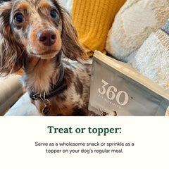 360 Pet Nutrition freeze-dried beef liver bite close-up, crunchy texture for rewards.