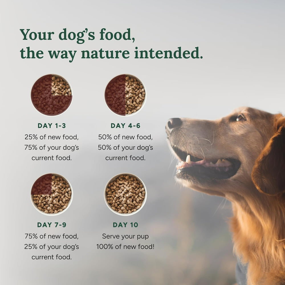 360 Pet Nutrition grain-free recipe suitable for sensitive stomachs
