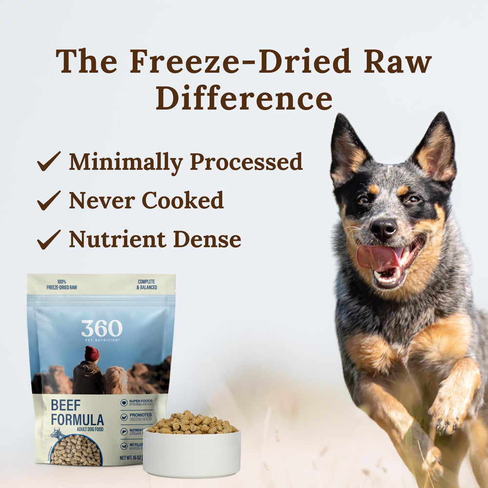 360 Pet Nutrition beef recipe bowl closeup—savory texture and colorful ingredients