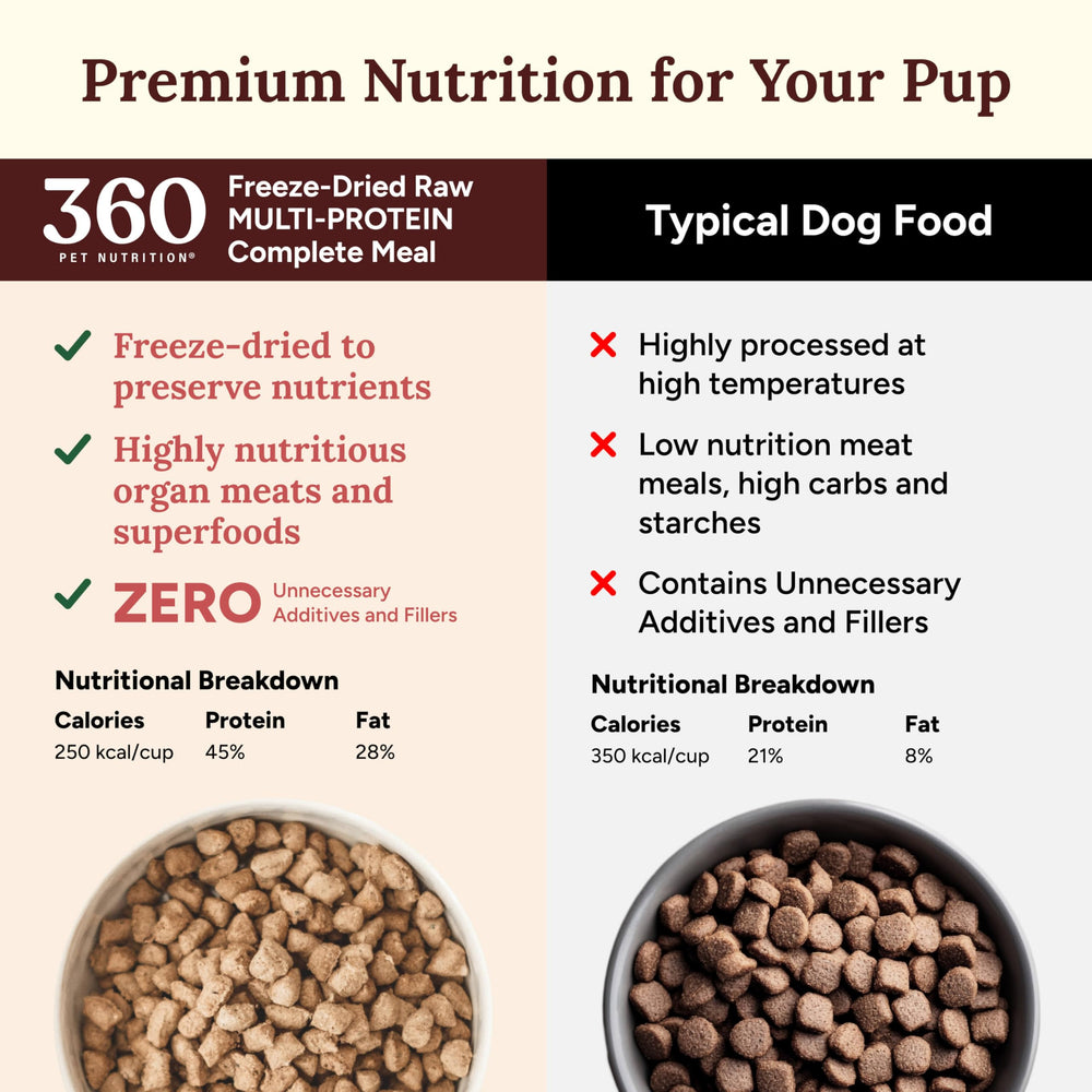 360 Pet Nutrition ingredients close-up showing meats, organs, fruits for balanced nutrition