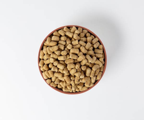 360 Pet Nutrition top-view bag ready-to-serve portions