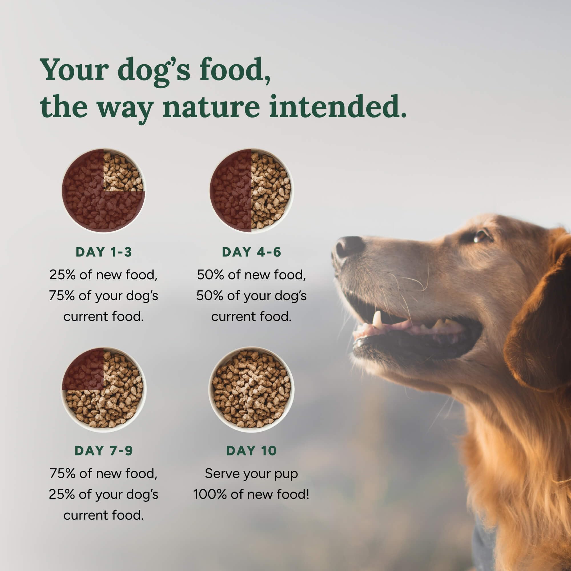 360 Pet Nutrition USA-made stamp indicating domestic production quality