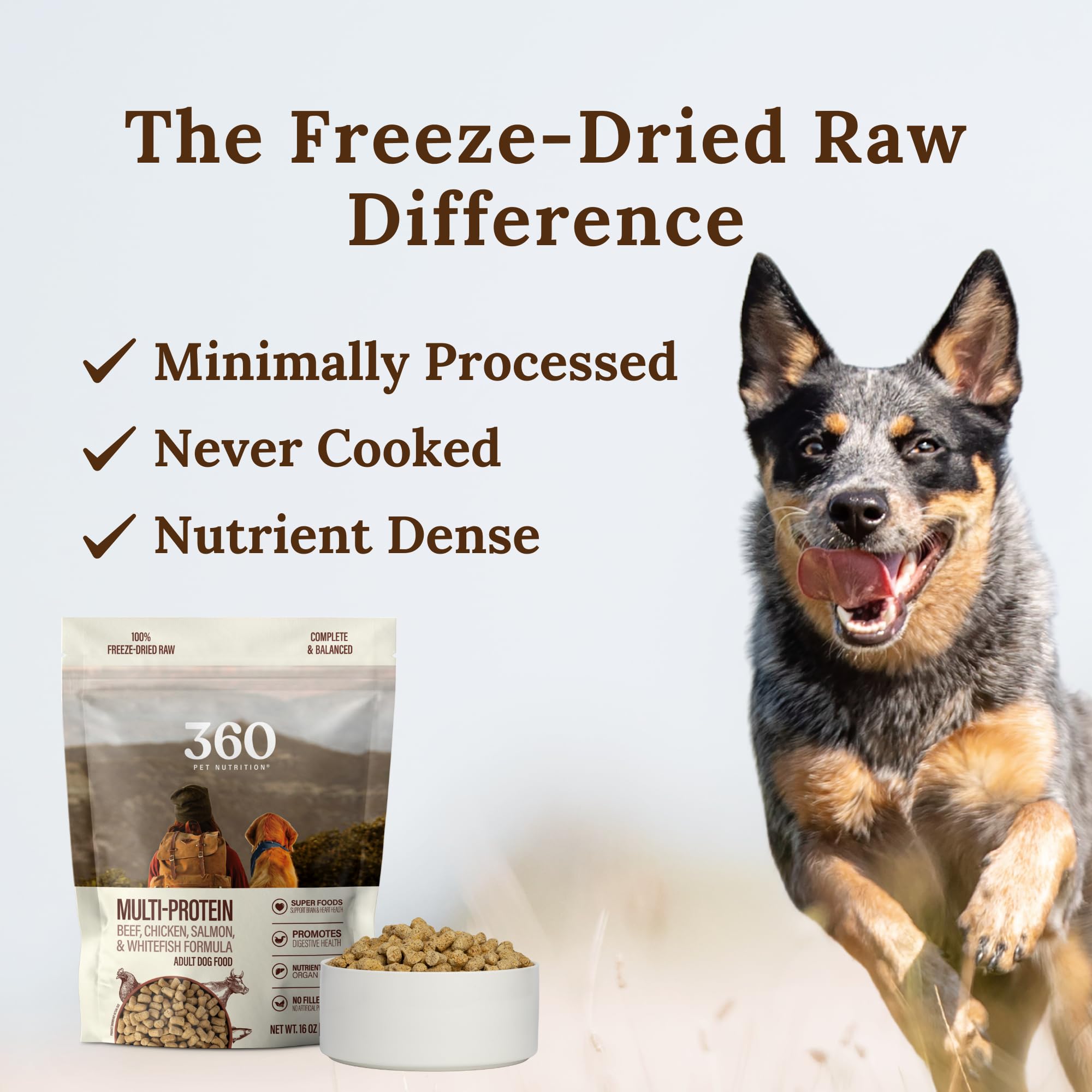 360 Pet Nutrition serving bowl demonstrates easy-to-serve portions for meals or toppers.