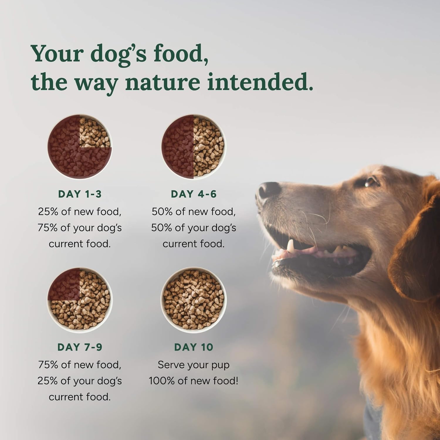360 Pet Nutrition USA-made label signals quality and domestic sourcing.
