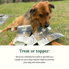 360 Pet Nutrition freeze-drying process graphic — preserves nutrients in bison liver.