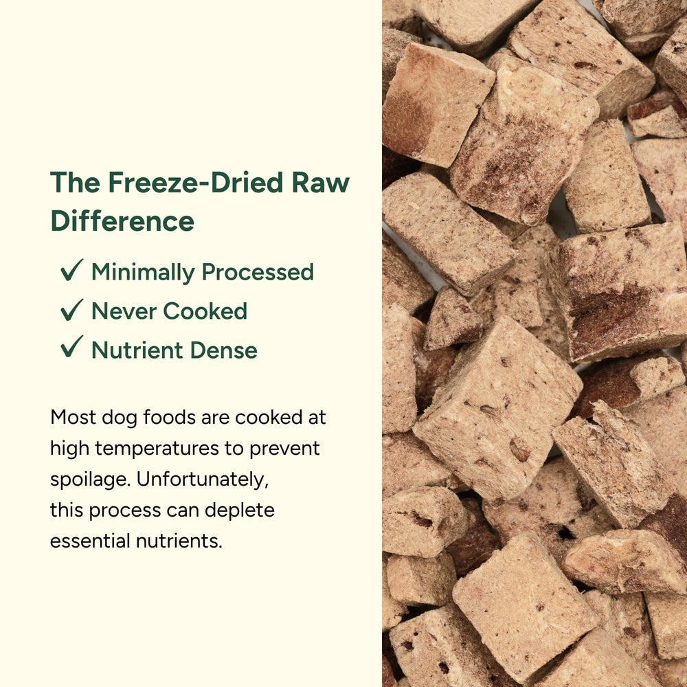 360 Pet Nutrition grain-free dog treats with beef liver for healthy protein snacking.