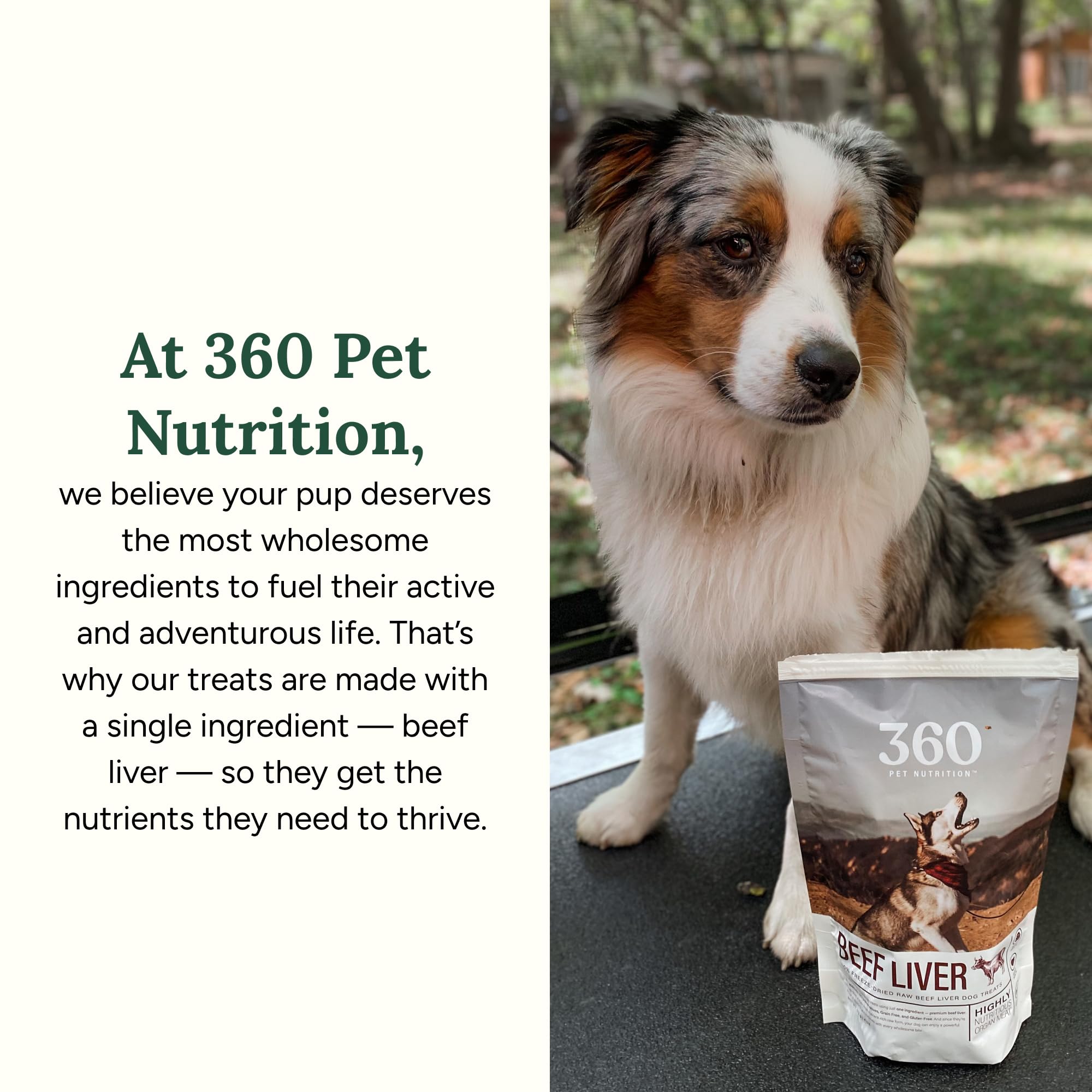 360 Pet Nutrition made-in-USA beef liver treats, quality and safety focus.