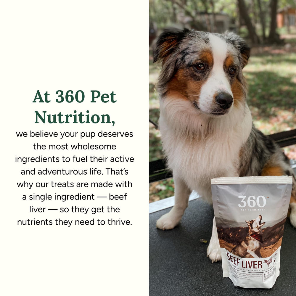 360 Pet Nutrition made-in-USA beef liver treats, quality and safety focus.
