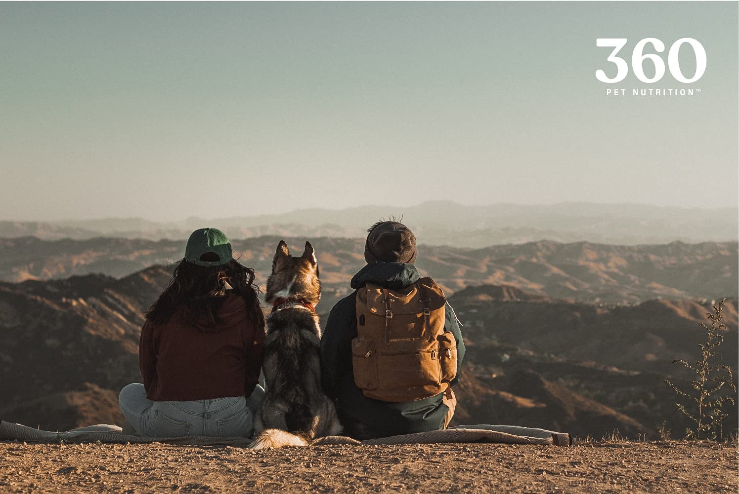 360 Pet Nutrition made in USA label — quality and safety you can trust.