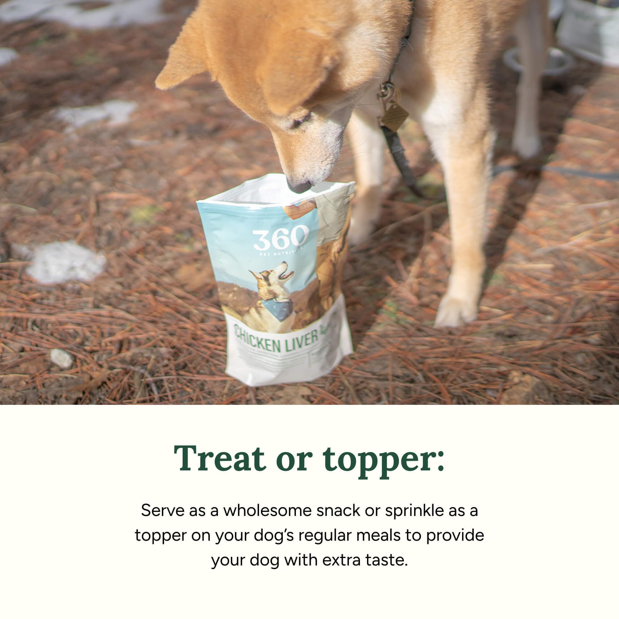 360 Pet Nutrition training reward setup with high-protein liver bites for dogs.
