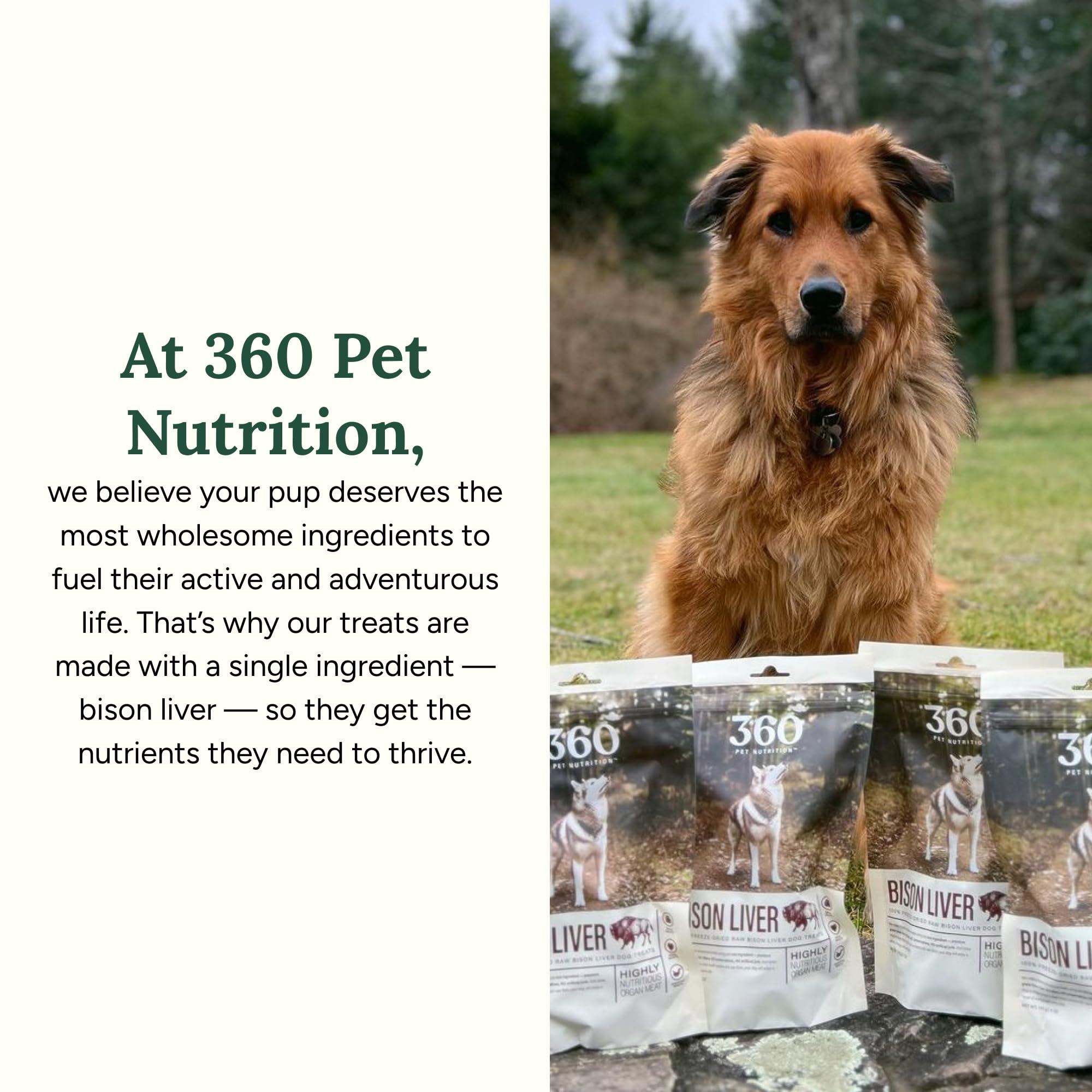 360 Pet Nutrition training snack bites — small, tasty rewards during training.