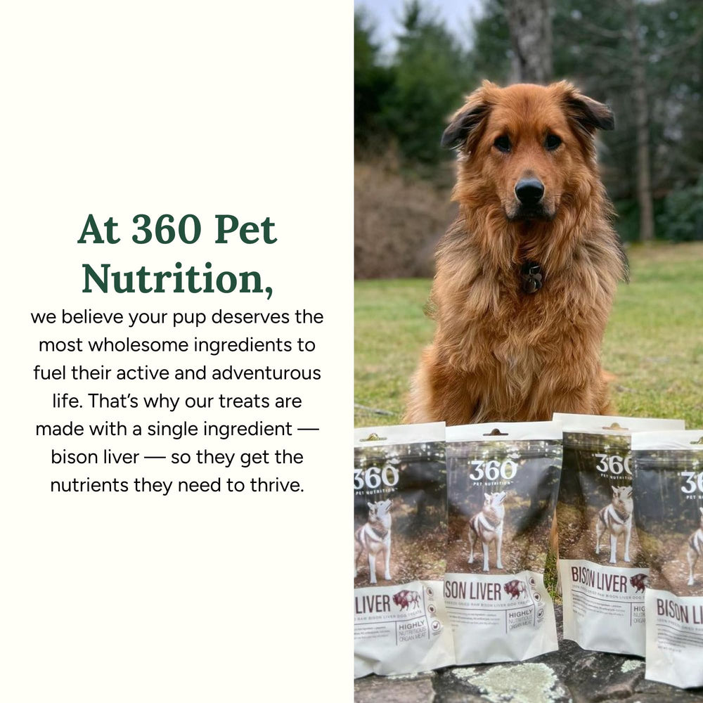 360 Pet Nutrition training snack bites — small, tasty rewards during training.