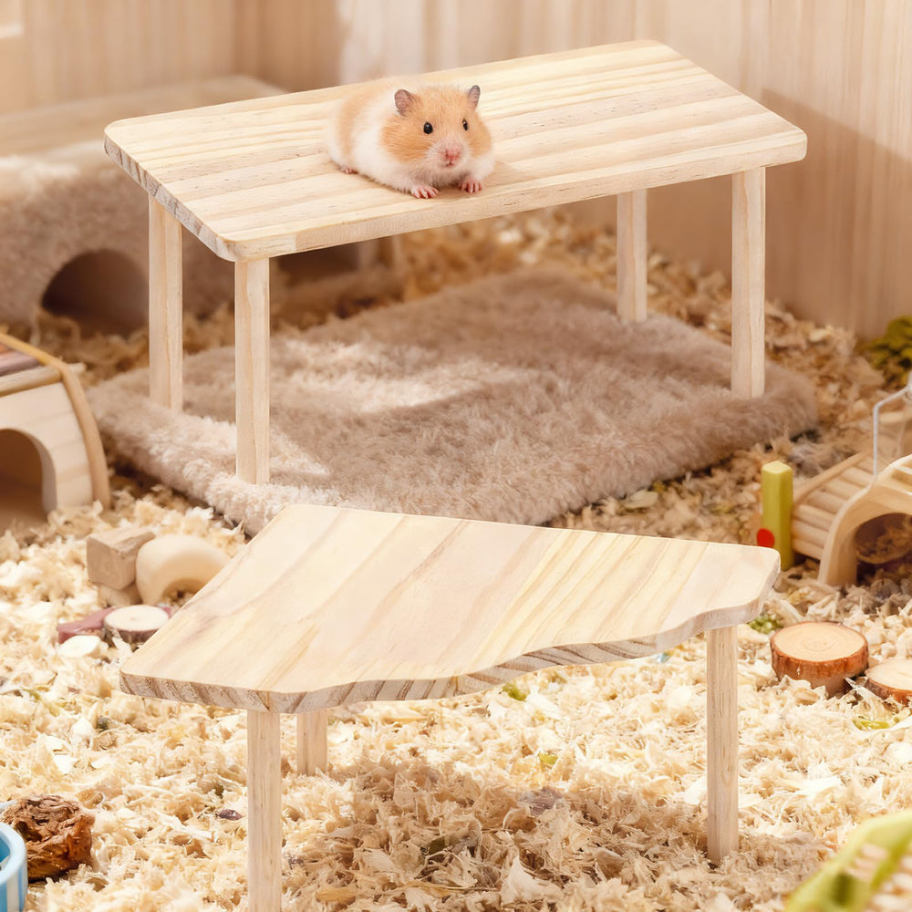 3BAO hamster platform tool-free assembly makes setup quick and versatile.