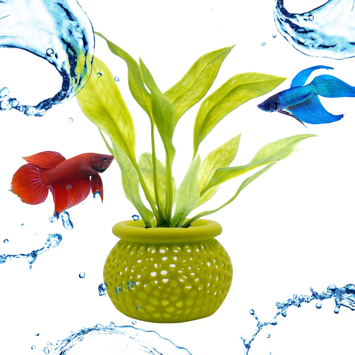 3DAquaticSolutions lime lattice pot demonstrates open design promoting water flow and healthy roots.
