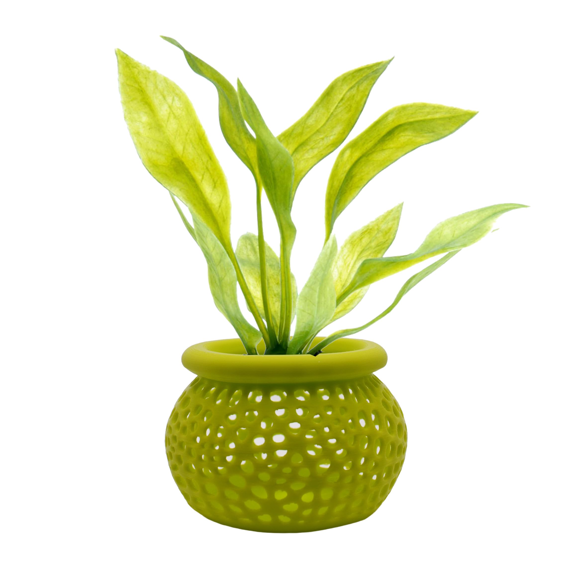 3DAquaticSolutions lime weighted-base pot keeps plants stable on substrate, reducing uprooting.