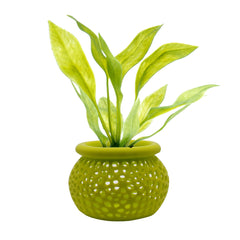 3DAquaticSolutions lime weighted-base pot keeps plants stable on substrate, reducing uprooting.