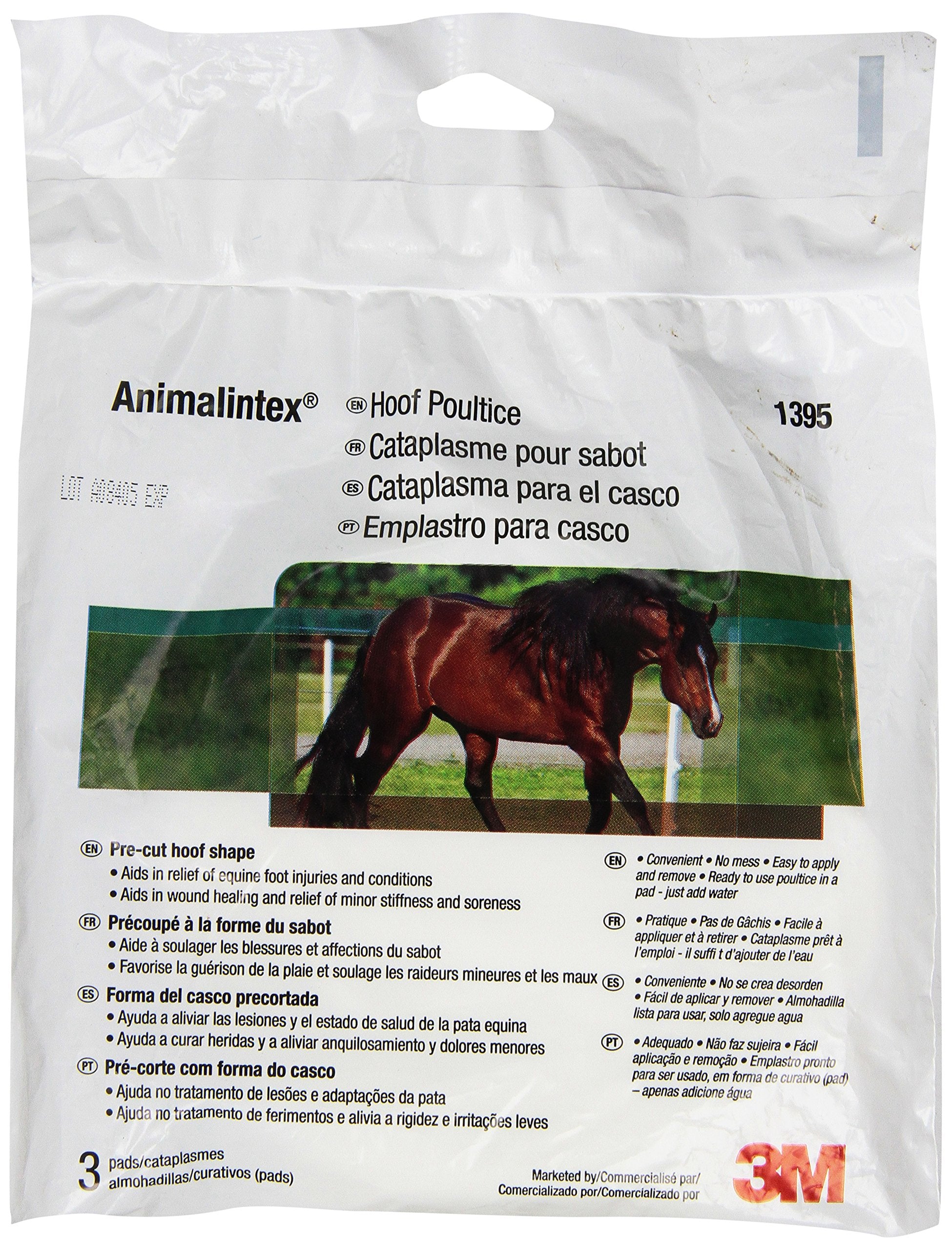 3M Animalintex Hoof Pads 1395 in use soothing hoof discomfort