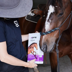 4CYTE Epiitalis Forte Horse pour shows easy administration during feeding.