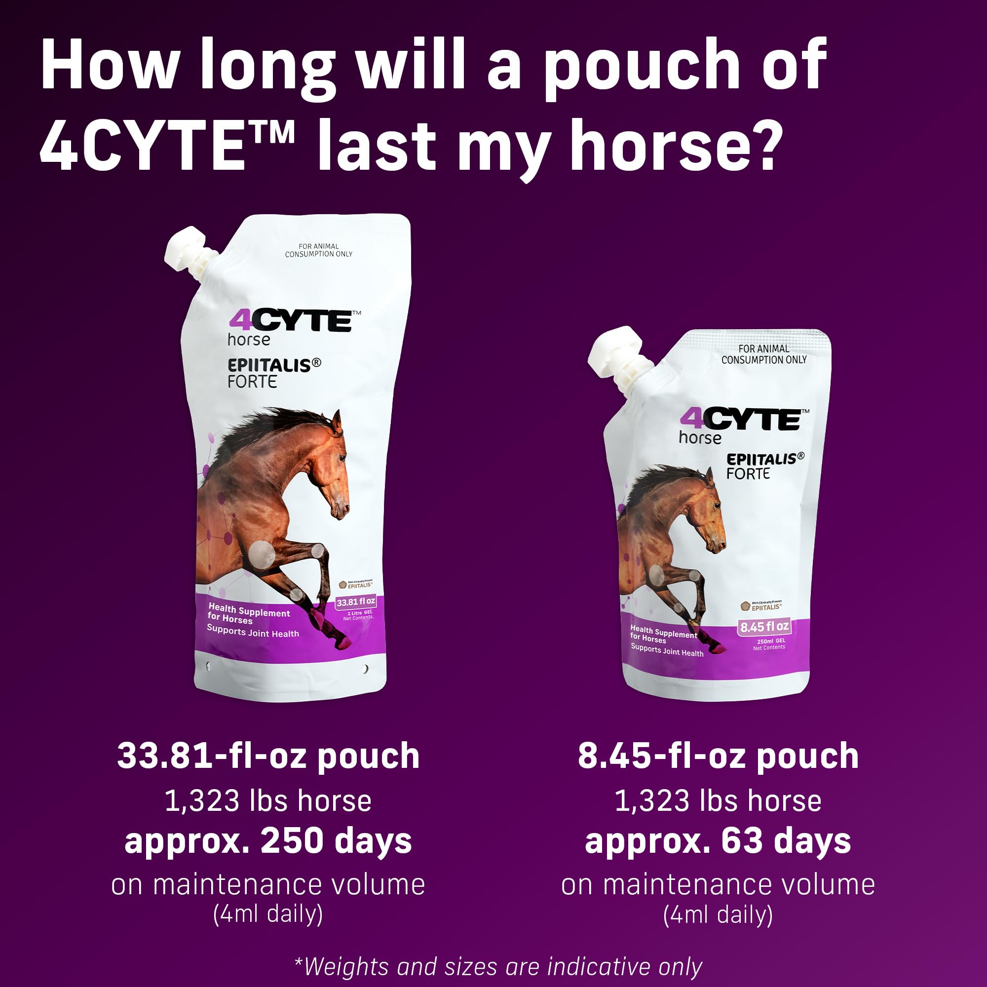 4CYTE Epiitalis Forte Horse motion shot suggests smoother gait.