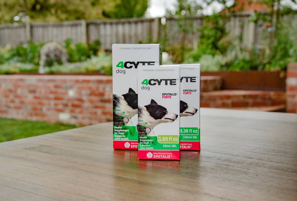 4CYTE Epiitalis Forte packaging shot reinforces trusted joint support