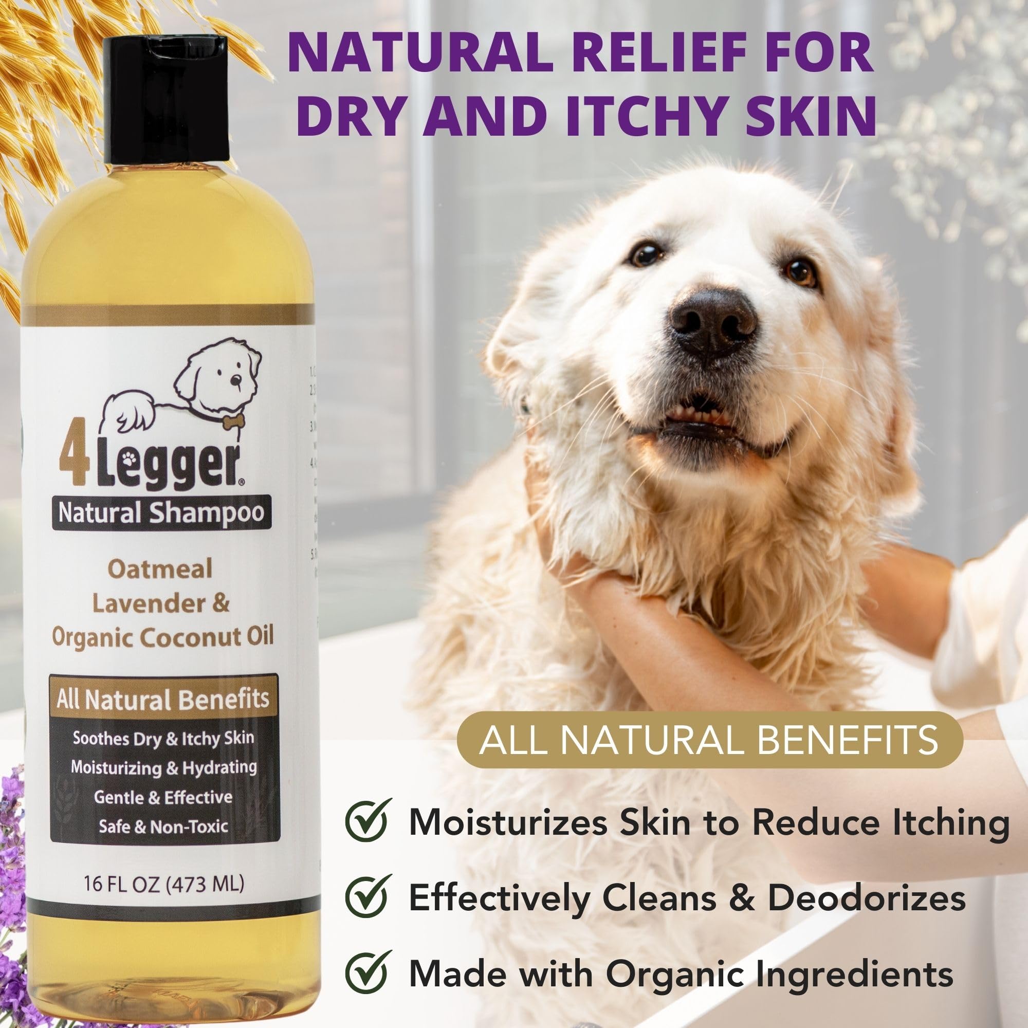 4Legger glossy coat after bath demonstrates moisturized fur.