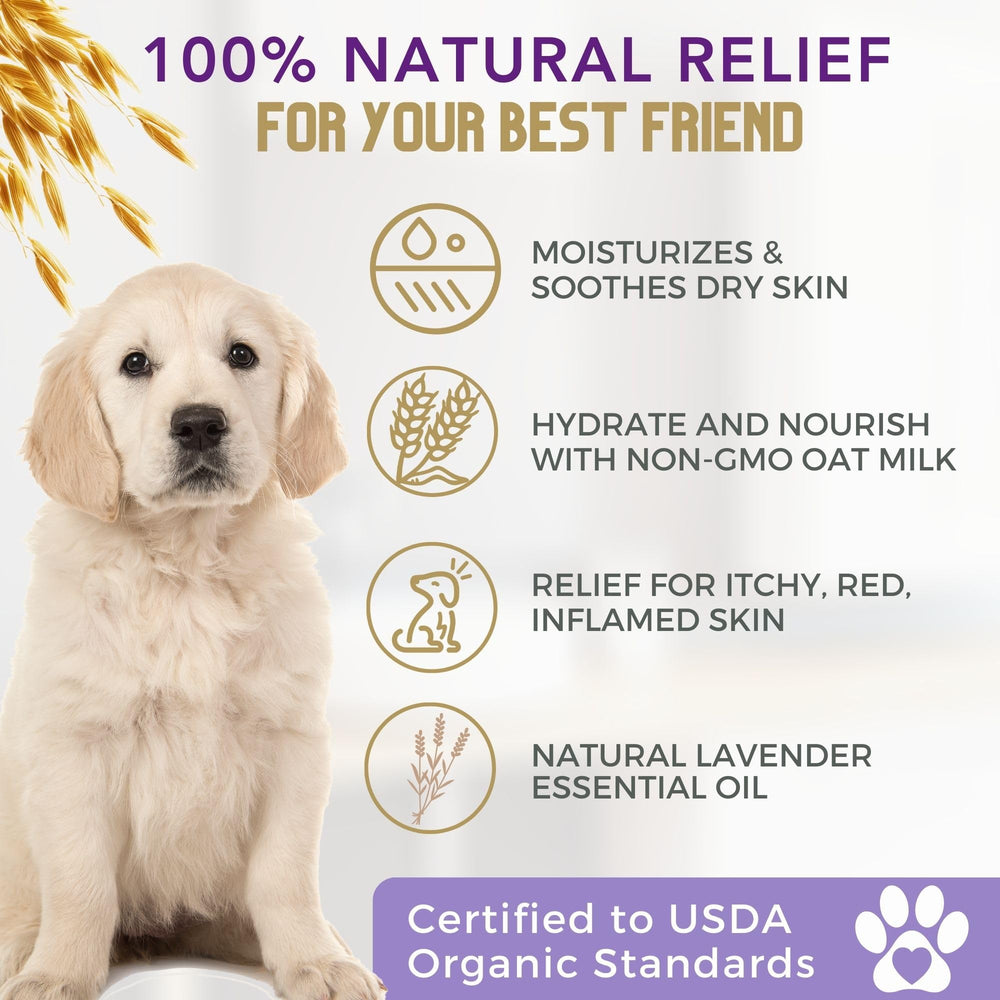4Legger dog during bath image suggests relief for itchy skin.